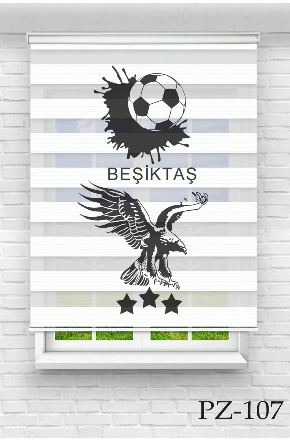 Beşiktaş2