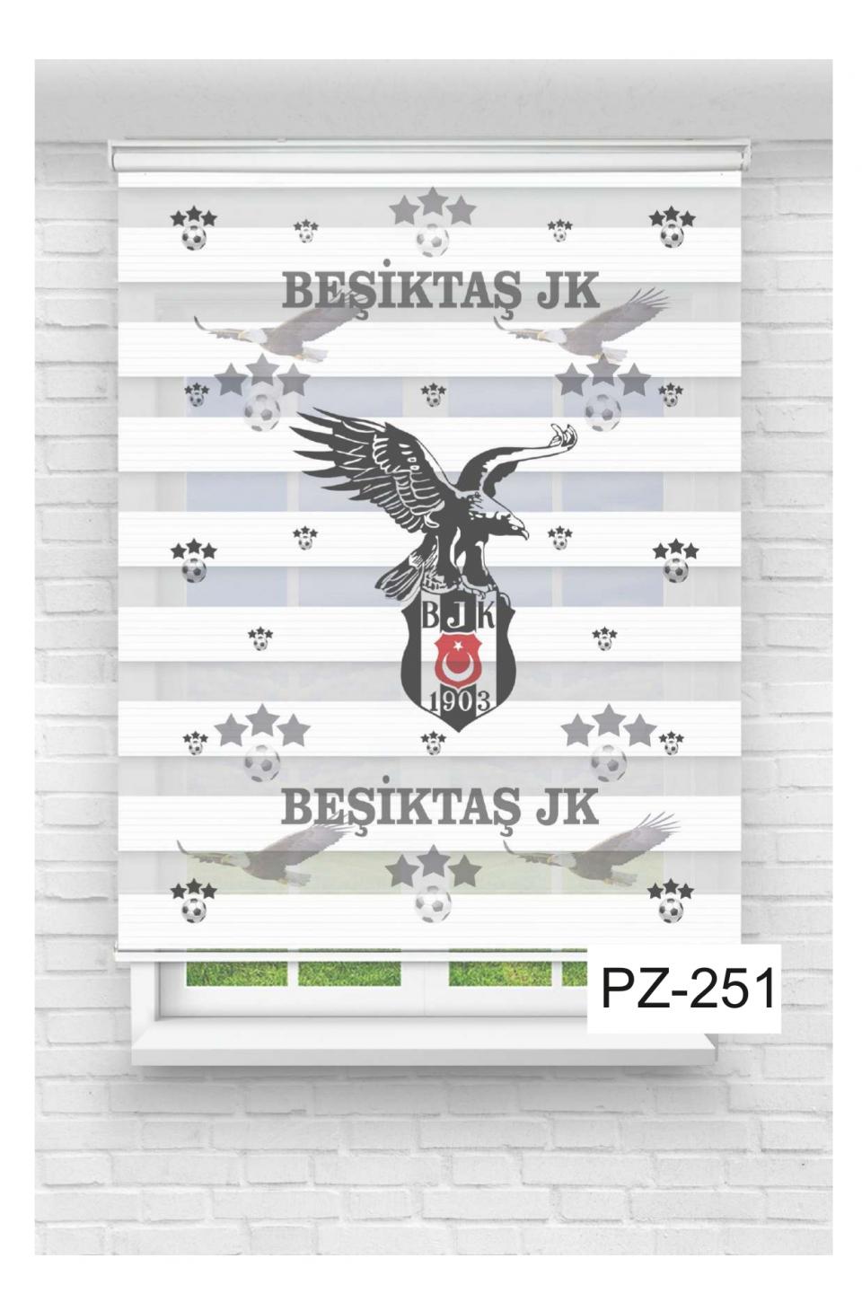 Beşiktaş3