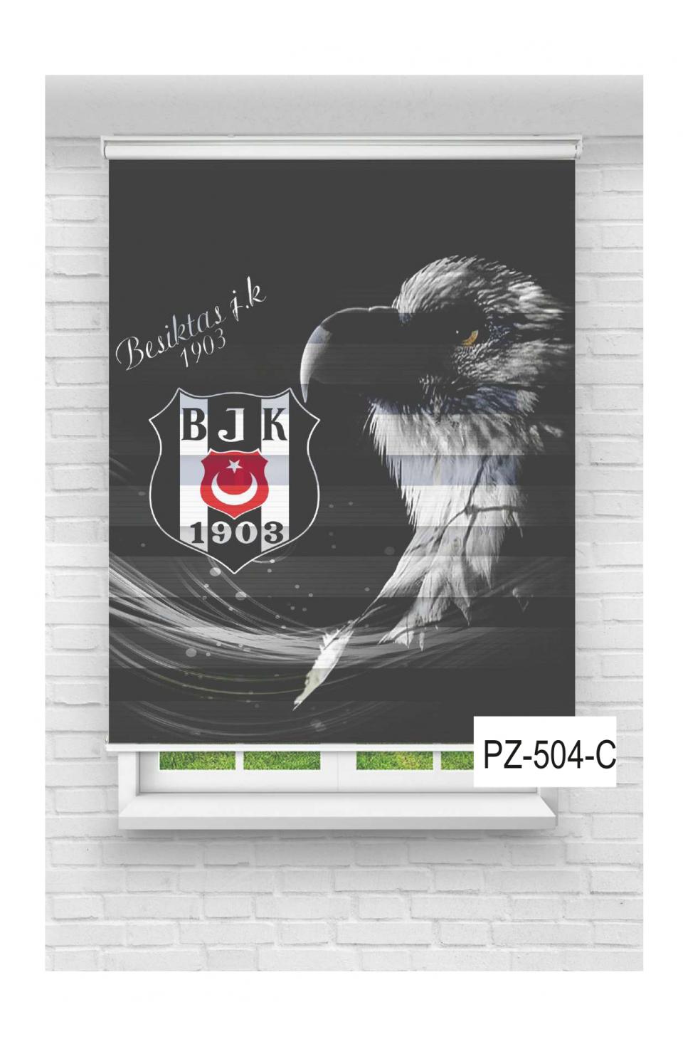 Beşiktaş7